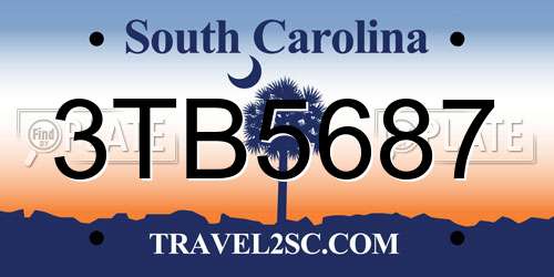 3TB5687 South Carolina License Plate