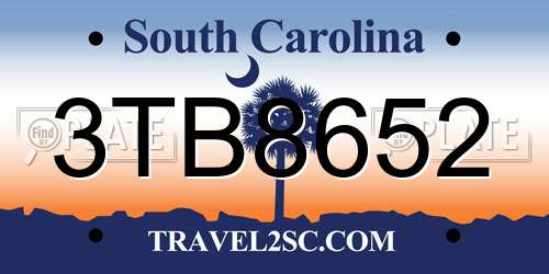 3TB8652 South Carolina License Plate