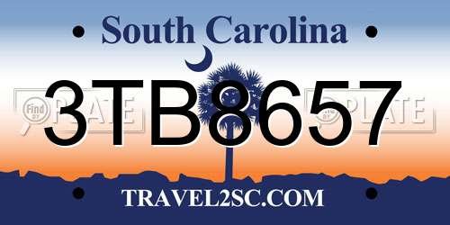 3TB8657 South Carolina License Plate