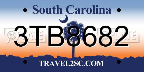 3TB8682 South Carolina License Plate