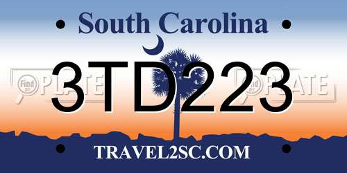 3TD223 South Carolina License Plate