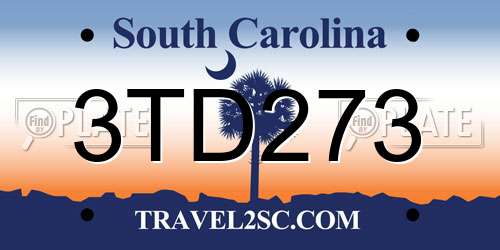 3TD273 South Carolina License Plate