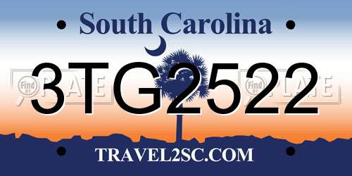 3TG2522 South Carolina License Plate