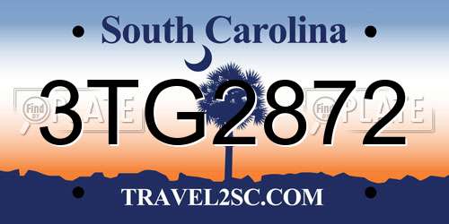 3TG2872 South Carolina License Plate