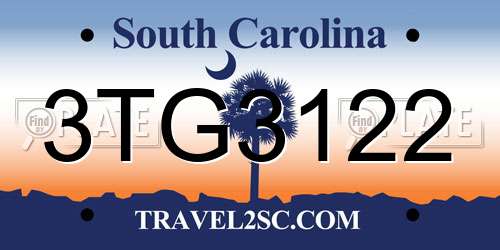 3TG3122 South Carolina License Plate