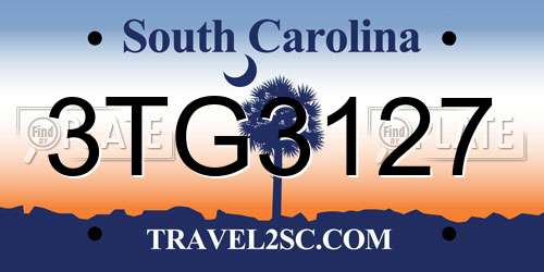 3TG3127 South Carolina License Plate