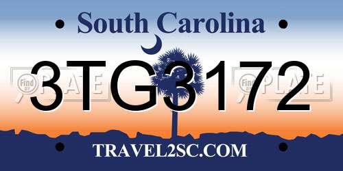 3TG3172 South Carolina License Plate