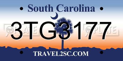 3TG3177 South Carolina License Plate
