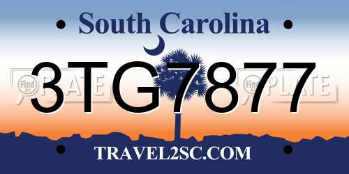 3TG7877 South Carolina License Plate