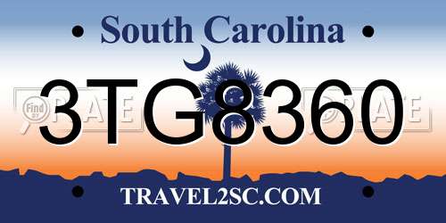 3TG8360 South Carolina License Plate