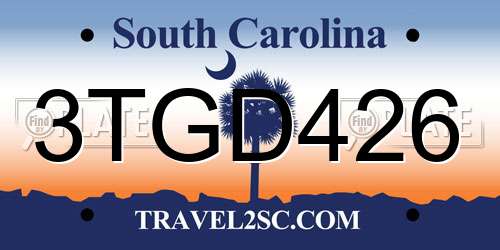 3TGD426 South Carolina License Plate