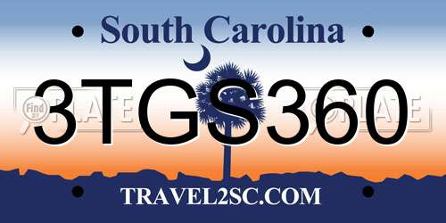 3TGS360 South Carolina License Plate