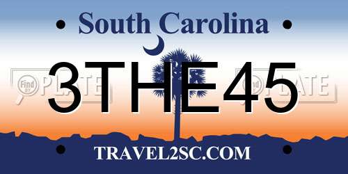 3THE45 South Carolina License Plate