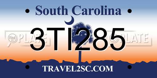 3TI285 South Carolina License Plate