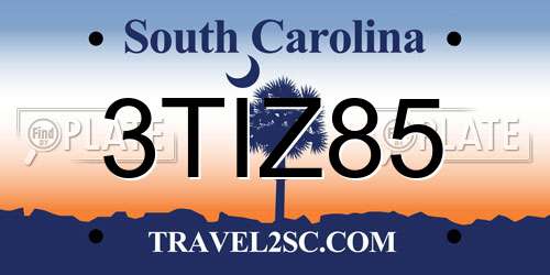 3TIZ85 South Carolina License Plate