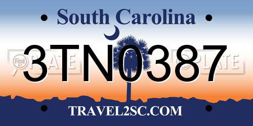 3TN0387 South Carolina License Plate