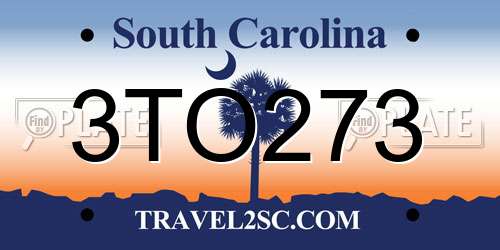 3TO273 South Carolina License Plate