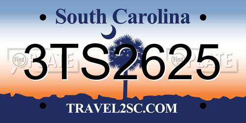 3TS2625 South Carolina License Plate