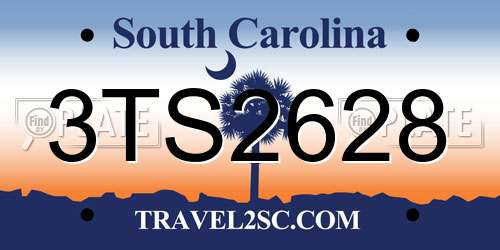 3TS2628 South Carolina License Plate