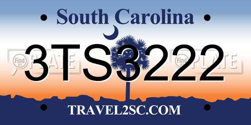 3TS3222 South Carolina License Plate