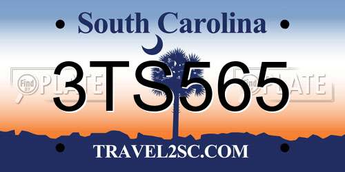 3TS565 South Carolina License Plate