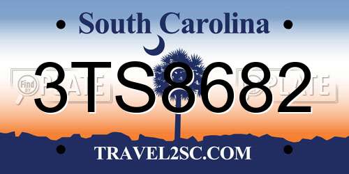 3TS8682 South Carolina License Plate