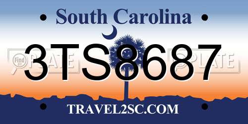 3TS8687 South Carolina License Plate