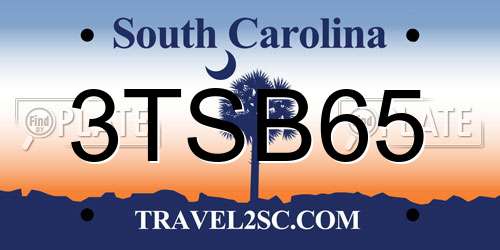 3TSB65 South Carolina License Plate