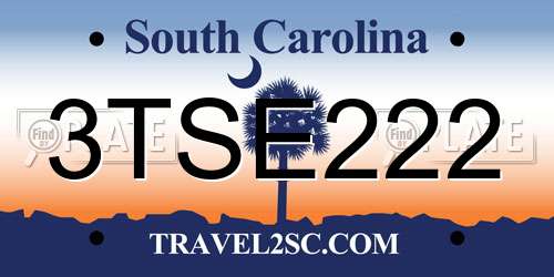 3TSE222 South Carolina License Plate