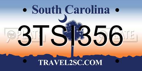3TSI356 South Carolina License Plate