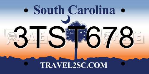 3TST678 South Carolina License Plate