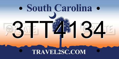 3TT4134 South Carolina License Plate