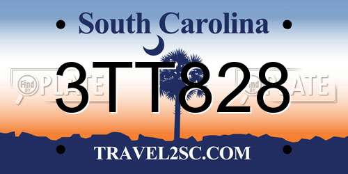 3TT828 South Carolina License Plate
