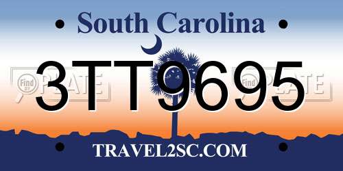 3TT9695 South Carolina License Plate
