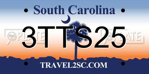 3TTS25 South Carolina License Plate