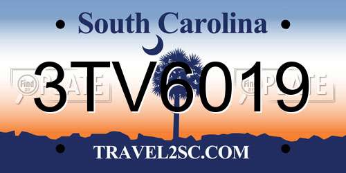 3TV6019 South Carolina License Plate