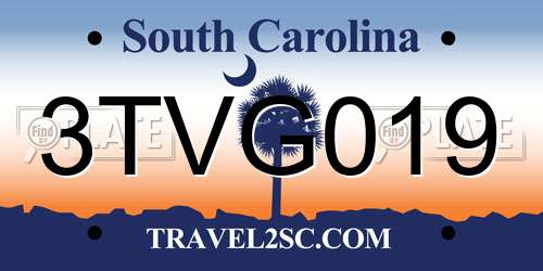 3TVG019 South Carolina License Plate