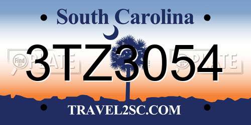 3TZ3054 South Carolina License Plate