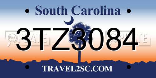 3TZ3084 South Carolina License Plate