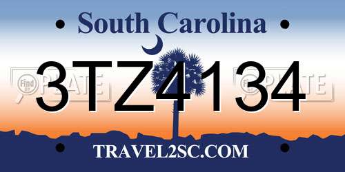 3TZ4134 South Carolina License Plate