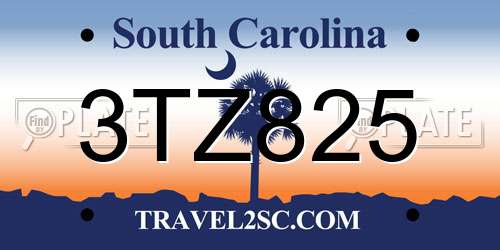 3TZ825 South Carolina License Plate