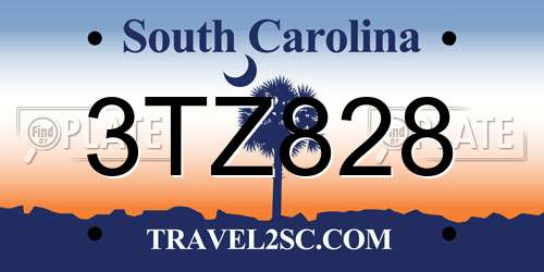 3TZ828 South Carolina License Plate