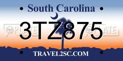 3TZ875 South Carolina License Plate