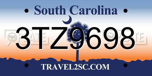 3TZ9698 South Carolina License Plate