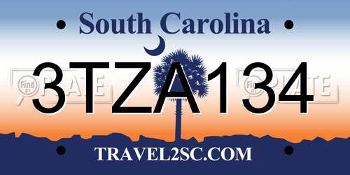 3TZA134 South Carolina License Plate