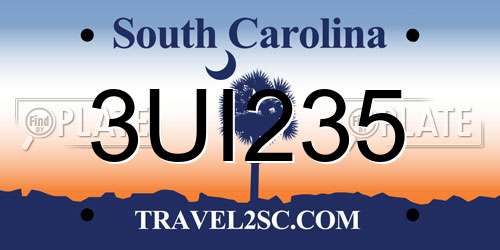 3UI235 South Carolina License Plate