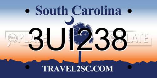 3UI238 South Carolina License Plate