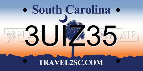 3UIZ35 South Carolina License Plate