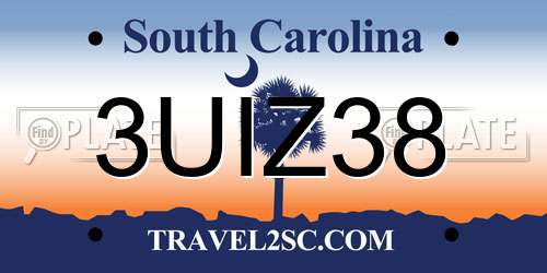 3UIZ38 South Carolina License Plate