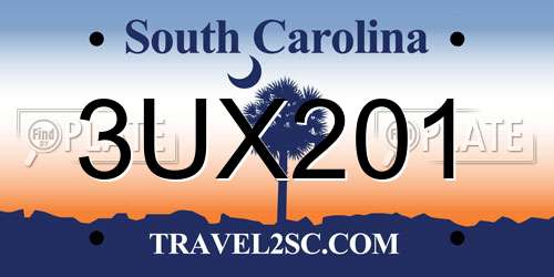 3UX201 South Carolina License Plate